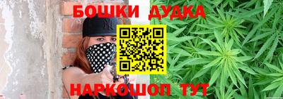 индика Пугачёв